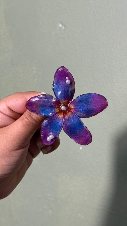 Plumeria clip