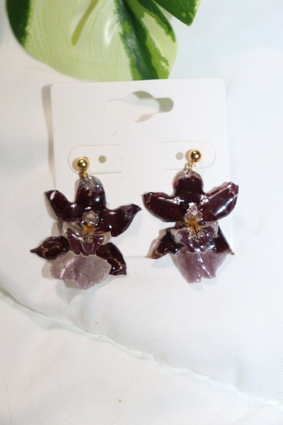 ℰ𝒶𝓇𝓇𝒾𝓃ℊ 𝒹ℴ𝓉