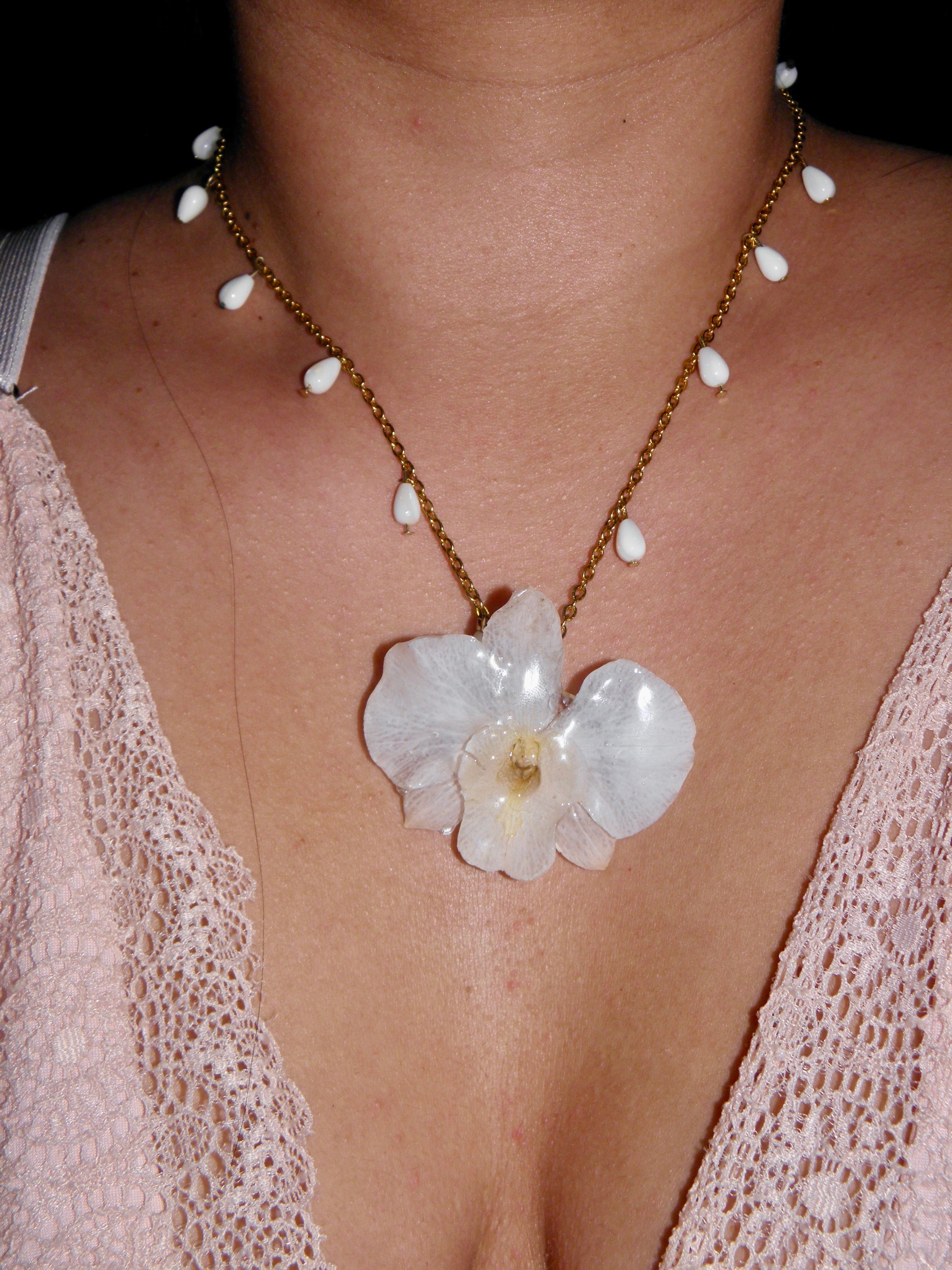 𝒮𝓃ℴ𝓌𝓎 ❀