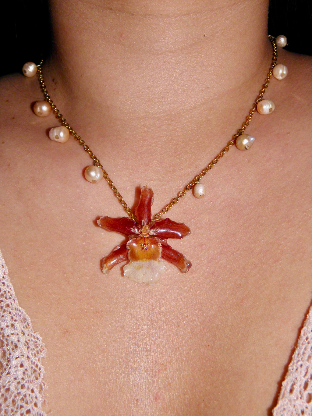 𝒫𝓊𝓂𝓅𝓀𝒾𝓃 ❀