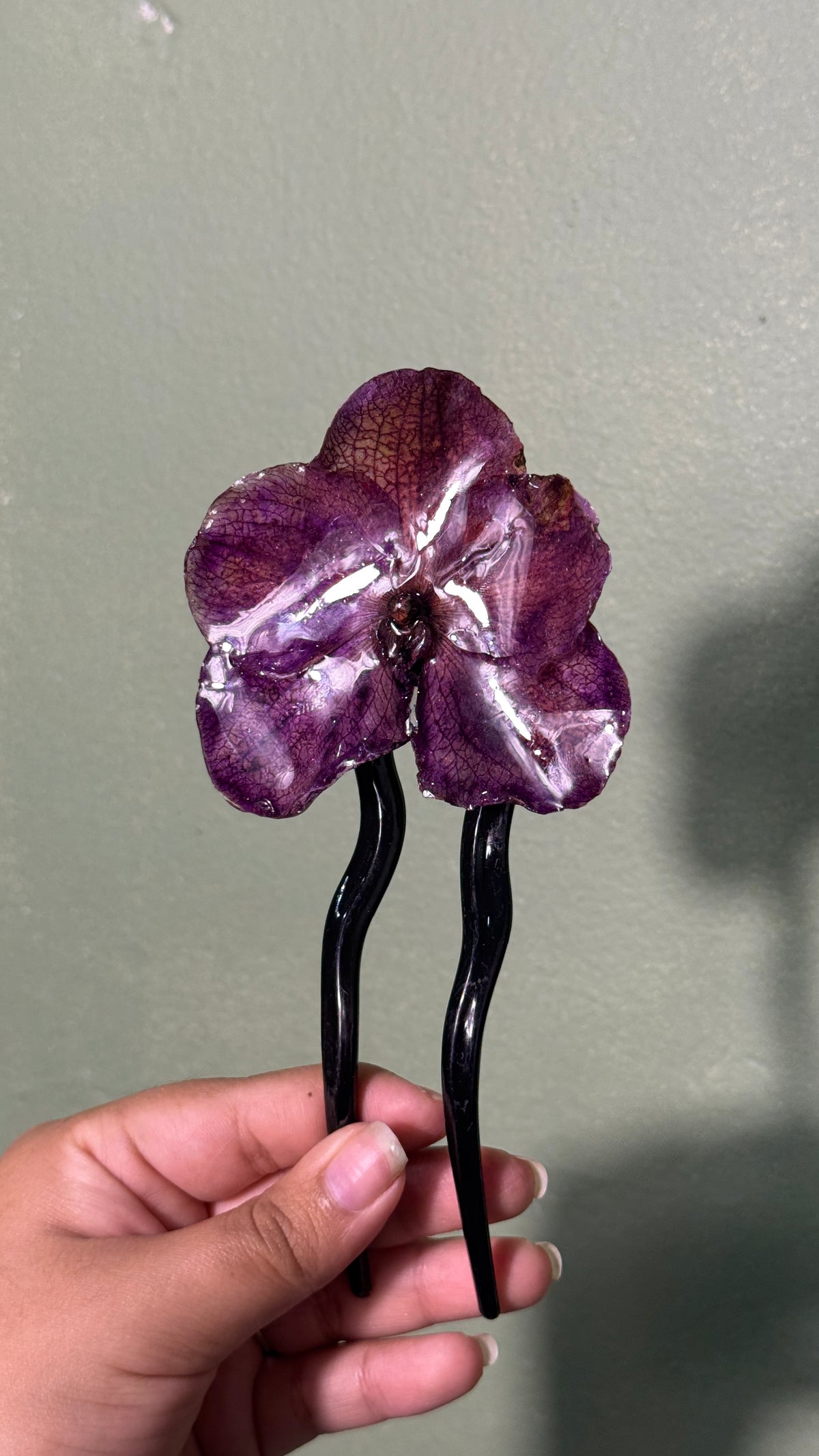 Big French clip vanda