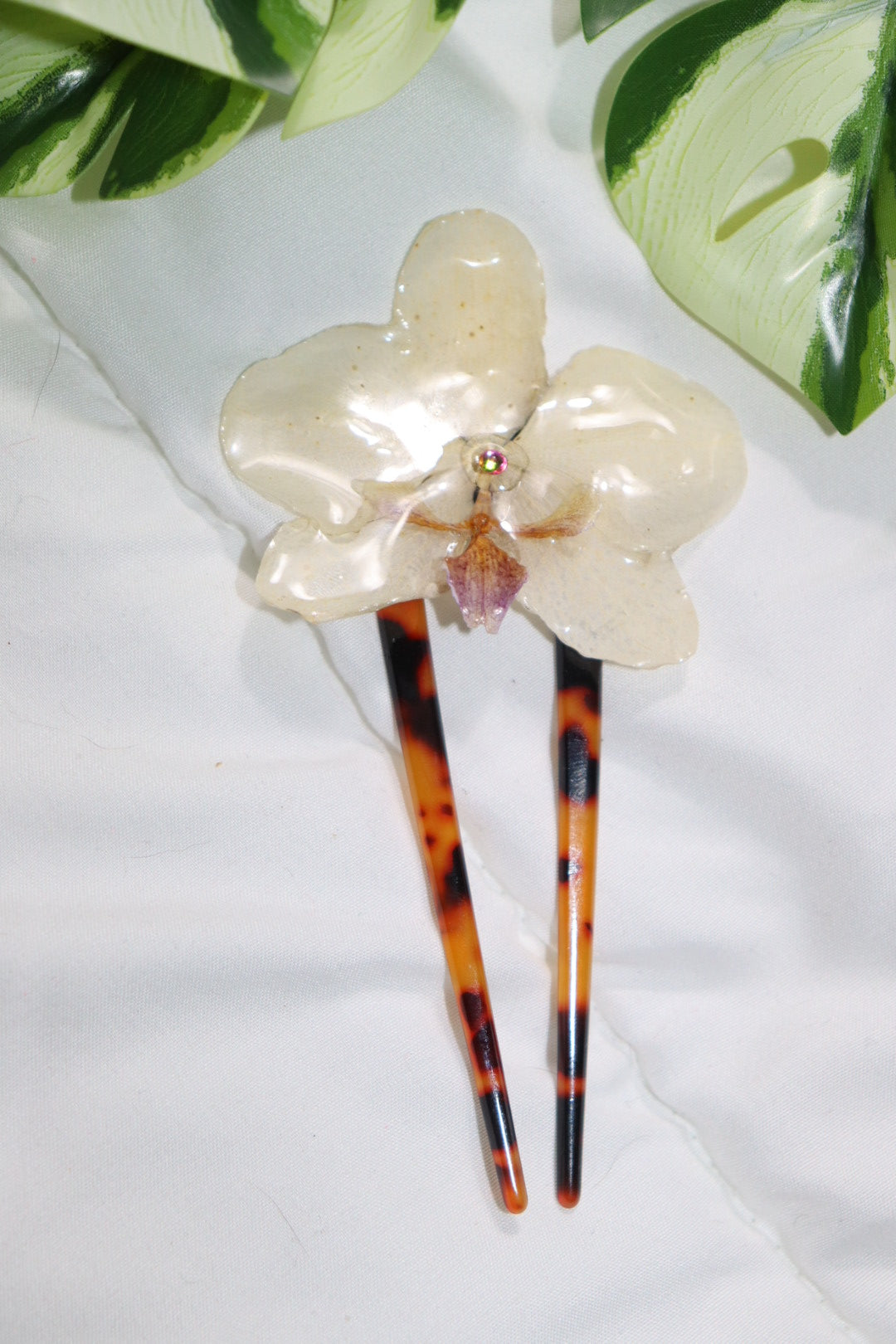 ℱ𝓇ℯ𝓃𝒸 𝒸𝓁𝒾𝓅 𝓂𝒾𝓃𝒾