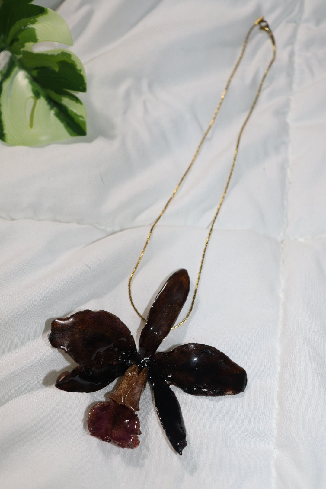 𝒫ℯ𝓃𝒹𝒶𝓃𝓉𝓈 𝓃ℯ𝒸𝓀𝓁𝒶𝒸ℯ𝓈