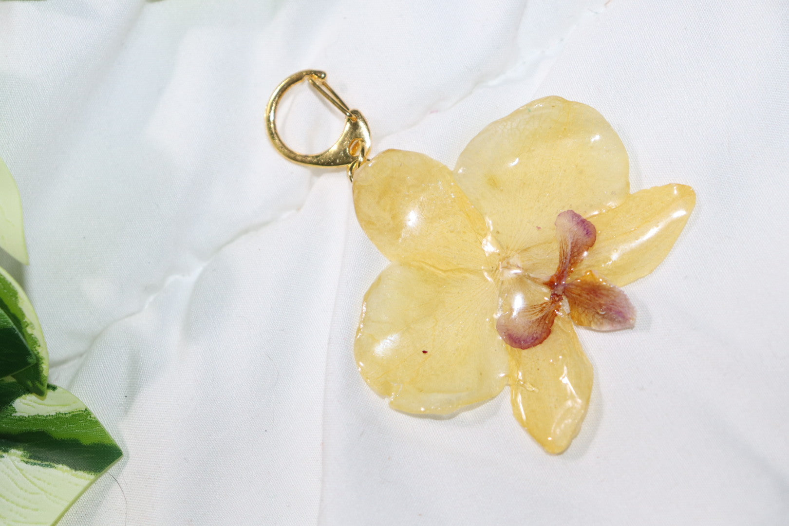 𝒦ℯ𝓎𝒸𝒽𝒶𝒾𝓃