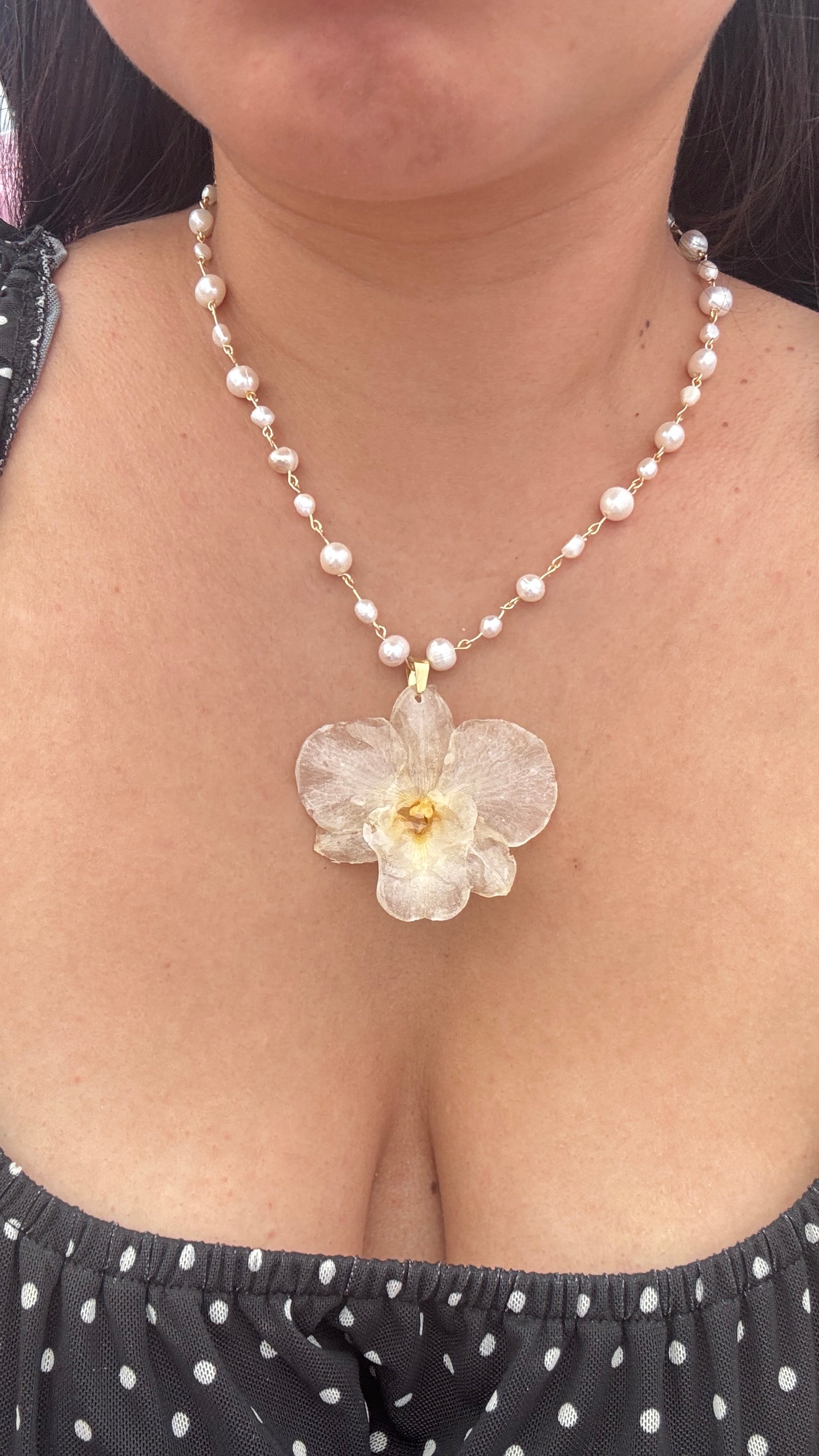 ℛℴ𝓈𝒶𝓇𝒾ℴ ❀