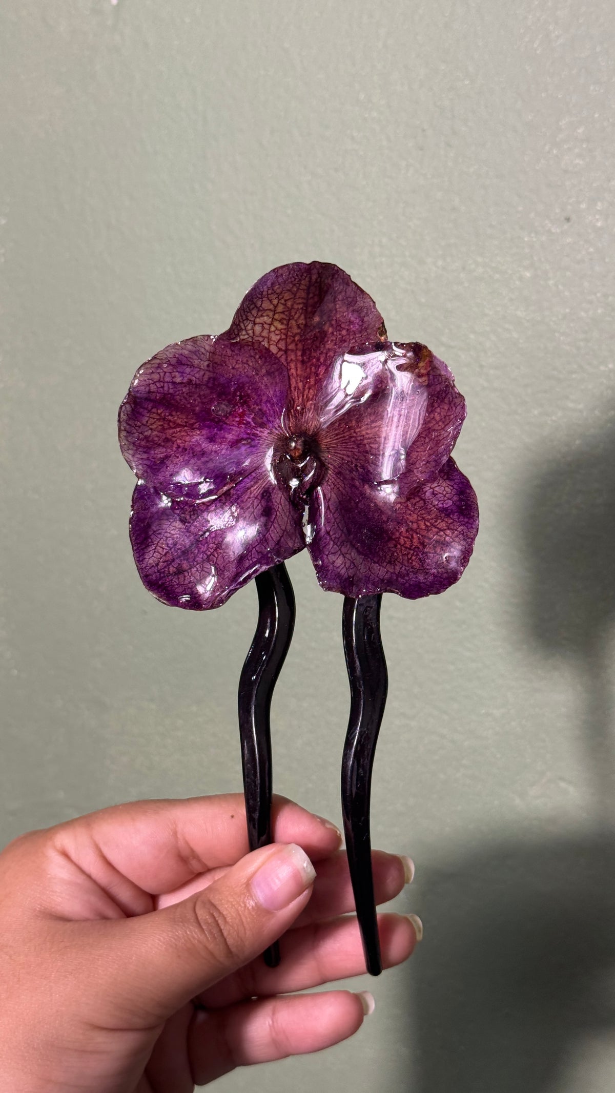 Big French clip vanda