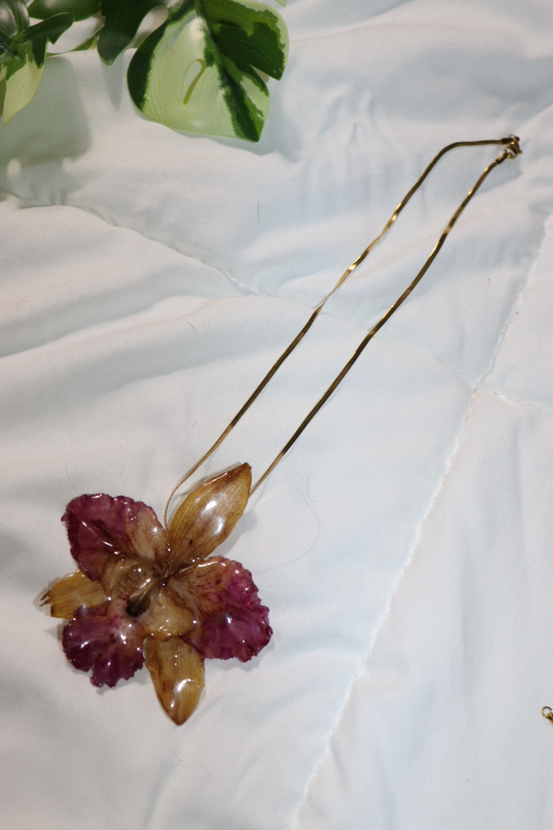 𝒫ℯ𝒹𝒶𝓃𝓉 𝓃ℯ𝒸𝓀𝓁𝒶𝒸ℯ