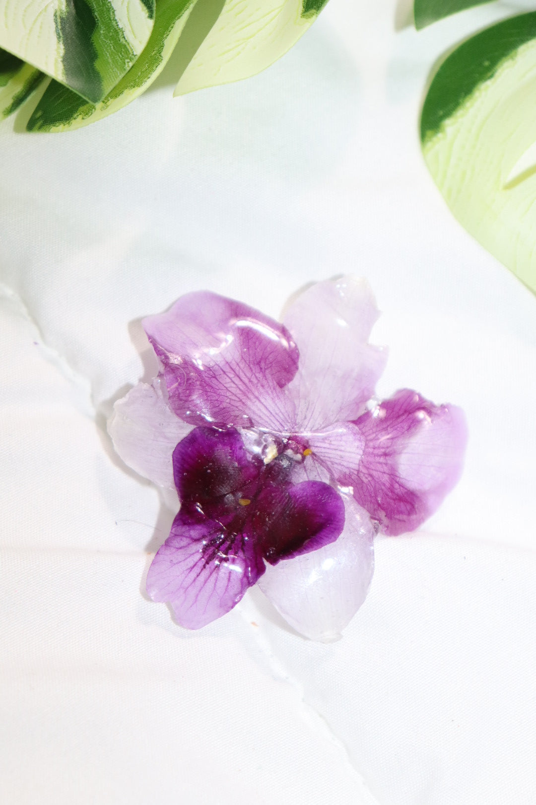 ℋ𝒶𝒾𝓇𝒸𝓁𝒾𝓅