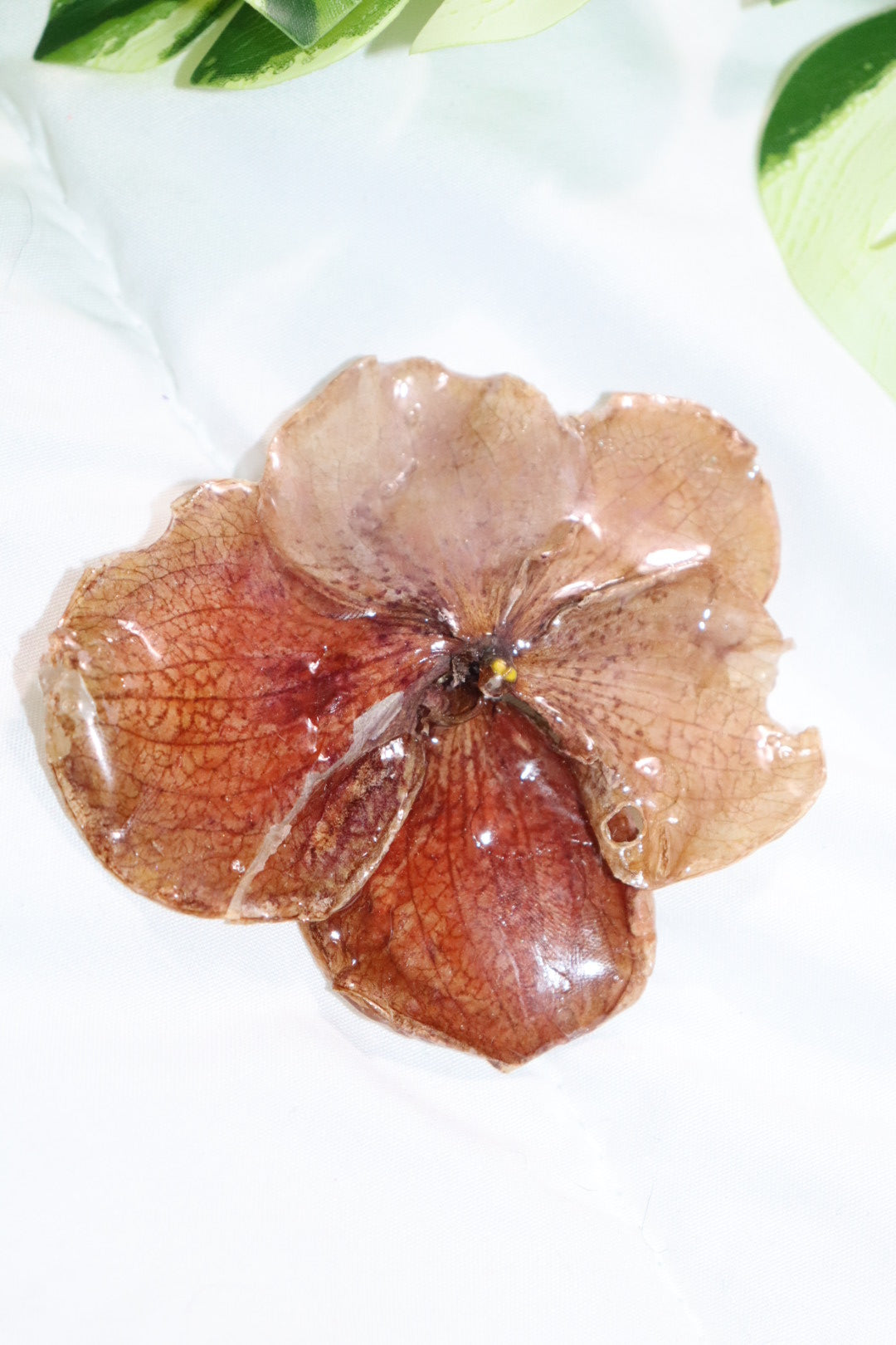 ℋ𝒶𝒾𝓇𝒸𝓁𝒾𝓅