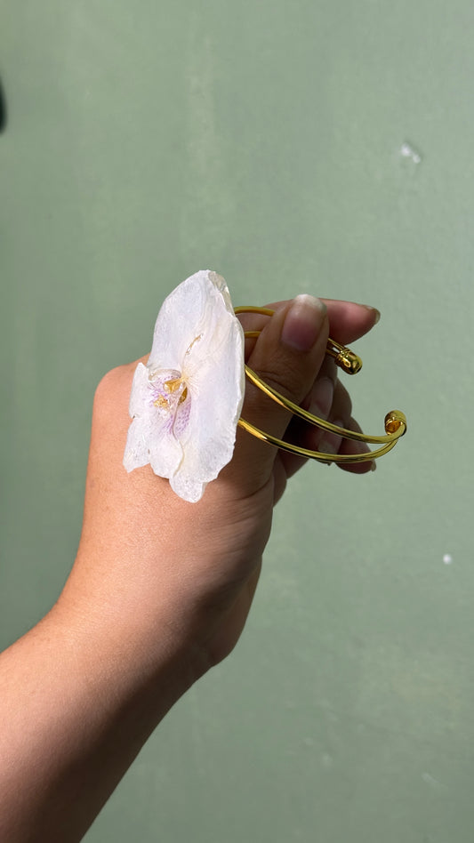 Bangel white orchid