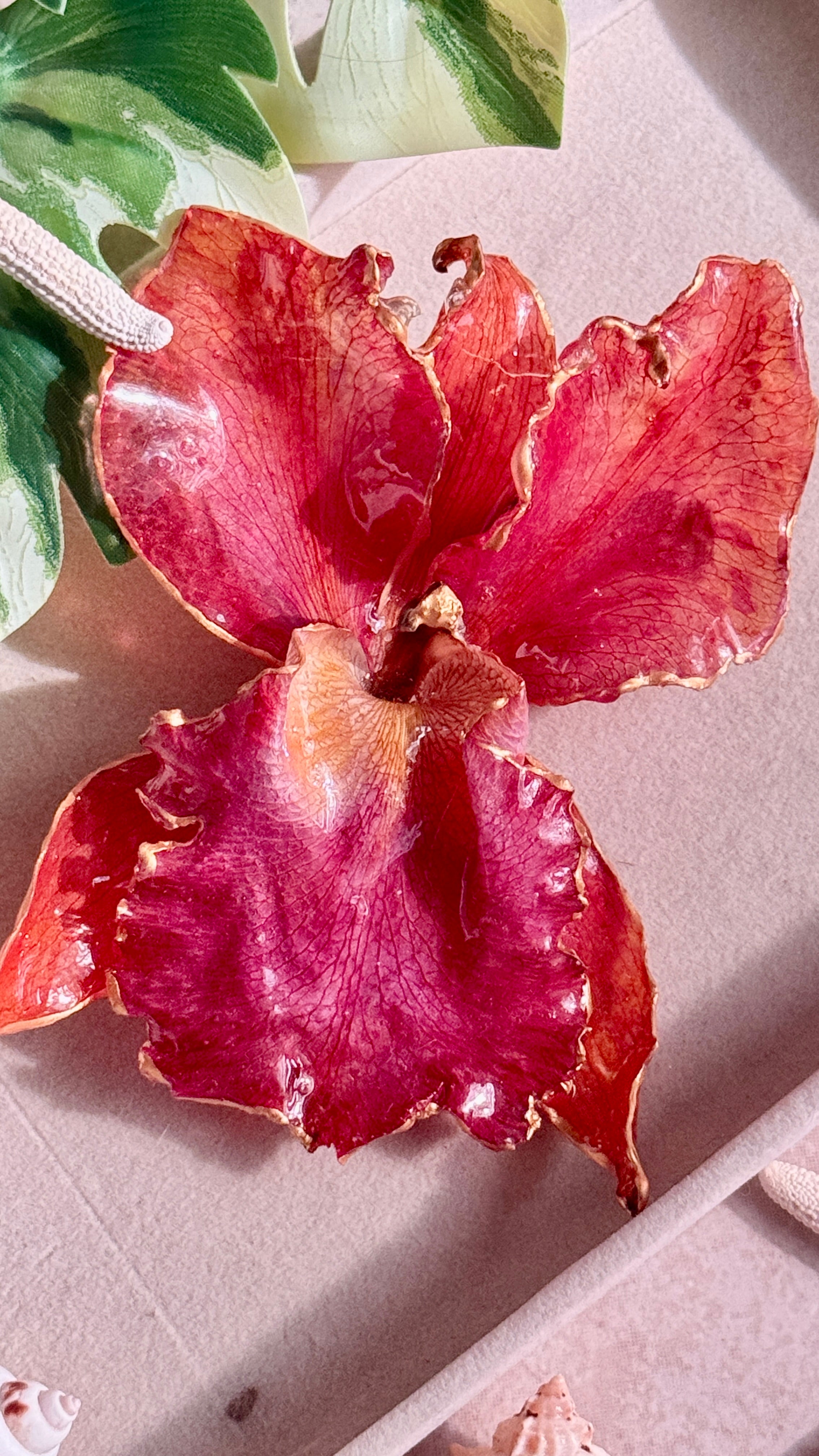 𝒞𝒽𝒾𝓁𝒾☽