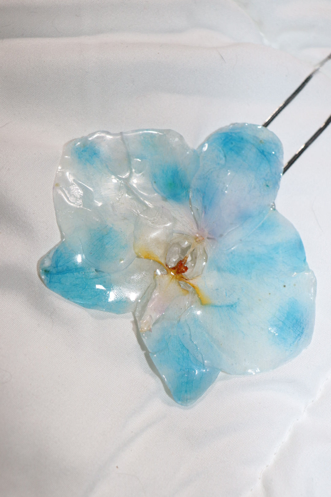 𝒫ℯ𝓃𝒹𝒶𝓃𝓉𝓈 𝓃ℯ𝒸𝓀𝓁𝒶𝒸ℯ