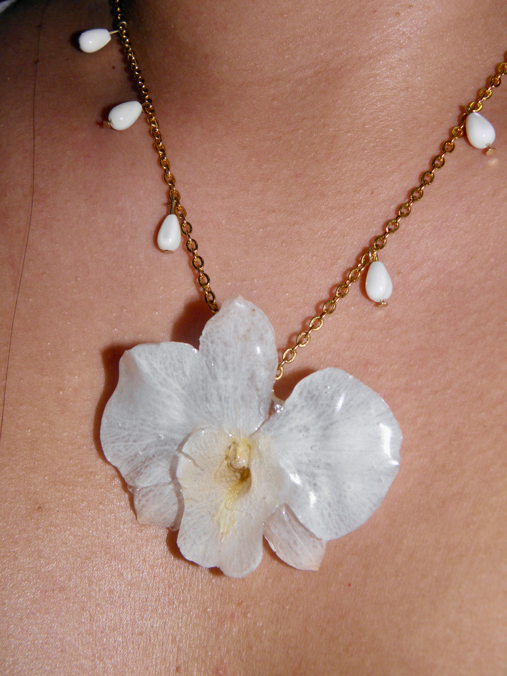 𝒮𝓃ℴ𝓌𝓎 ❀