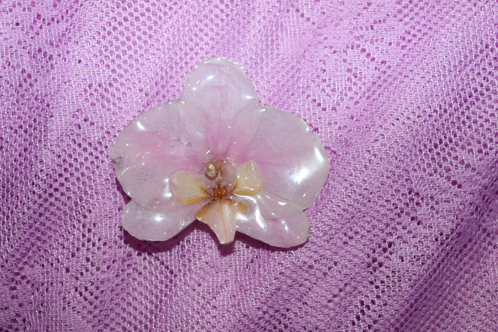 Hair clip 🌟 (phalaenopsis clip)