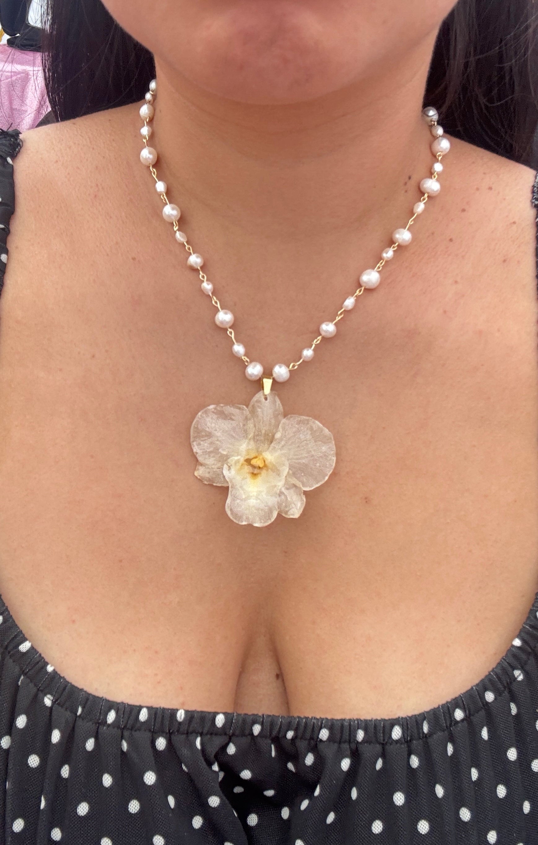 ℛℴ𝓈𝒶𝓇𝒾ℴ ❀