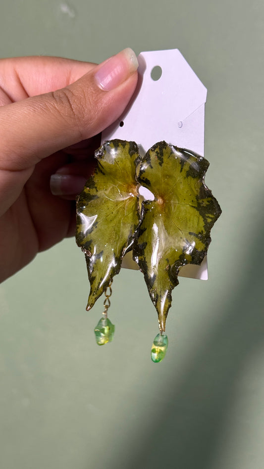 Earrings begonia