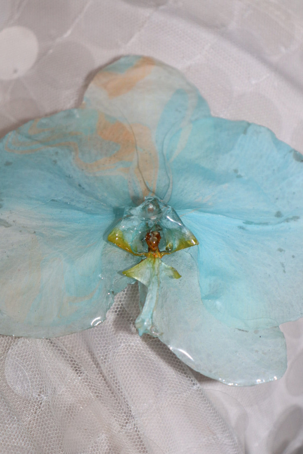 Had clip baby blue 🐬