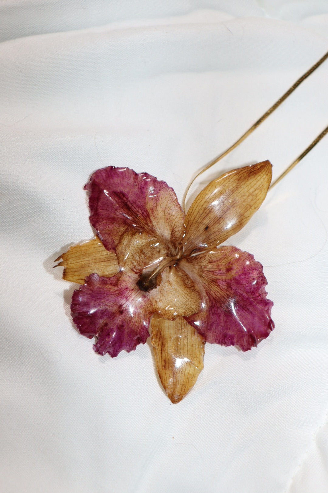 𝒫ℯ𝒹𝒶𝓃𝓉 𝓃ℯ𝒸𝓀𝓁𝒶𝒸ℯ