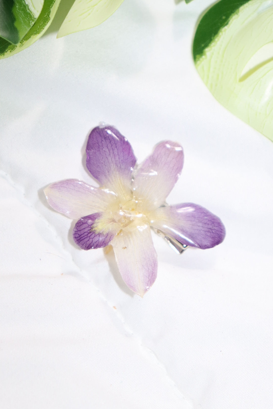 ℋ𝒶𝒾𝓇𝒸𝓁𝒾𝓅