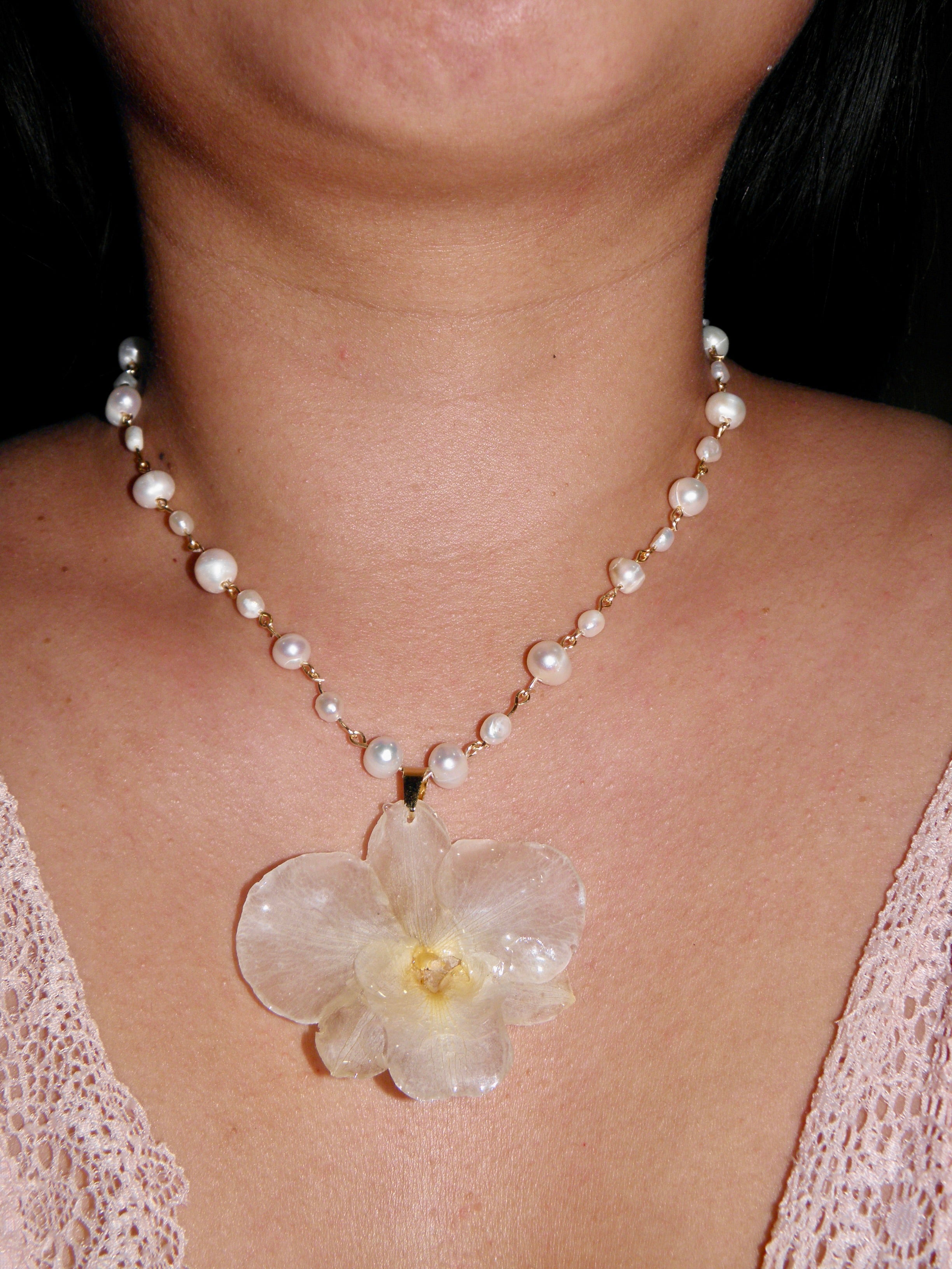 ℛℴ𝓈𝒶𝓇𝒾ℴ ❀