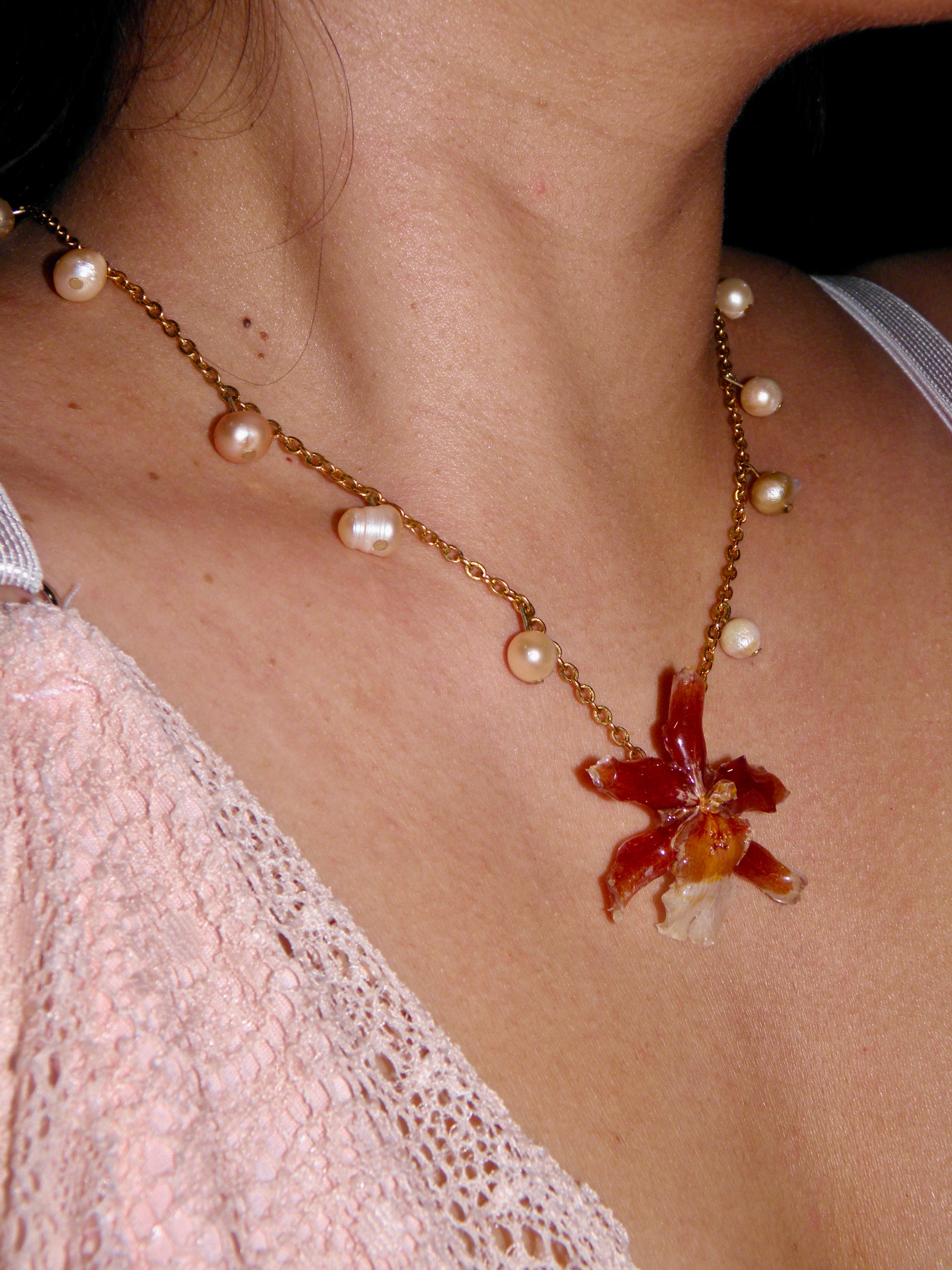 𝒫𝓊𝓂𝓅𝓀𝒾𝓃 ❀