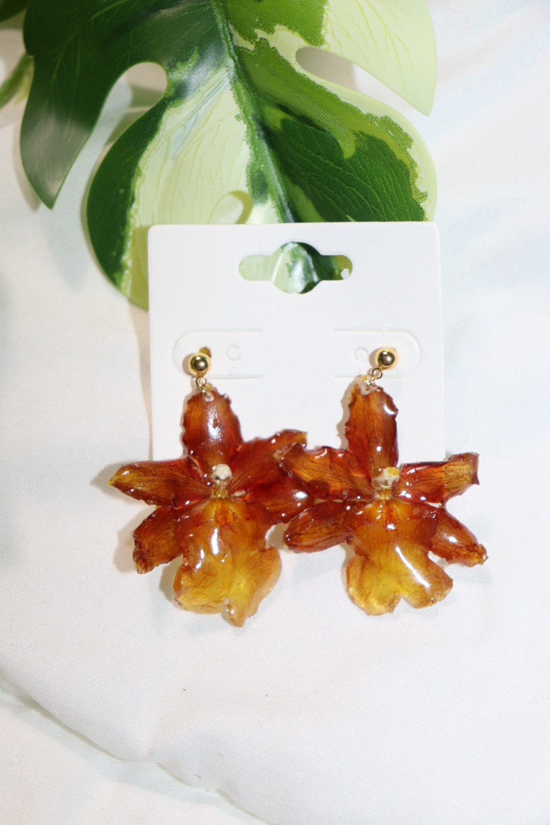 ℰ𝒶𝓇𝓇𝒾𝓃ℊ𝓈 𝒹ℴ𝓉𝒮