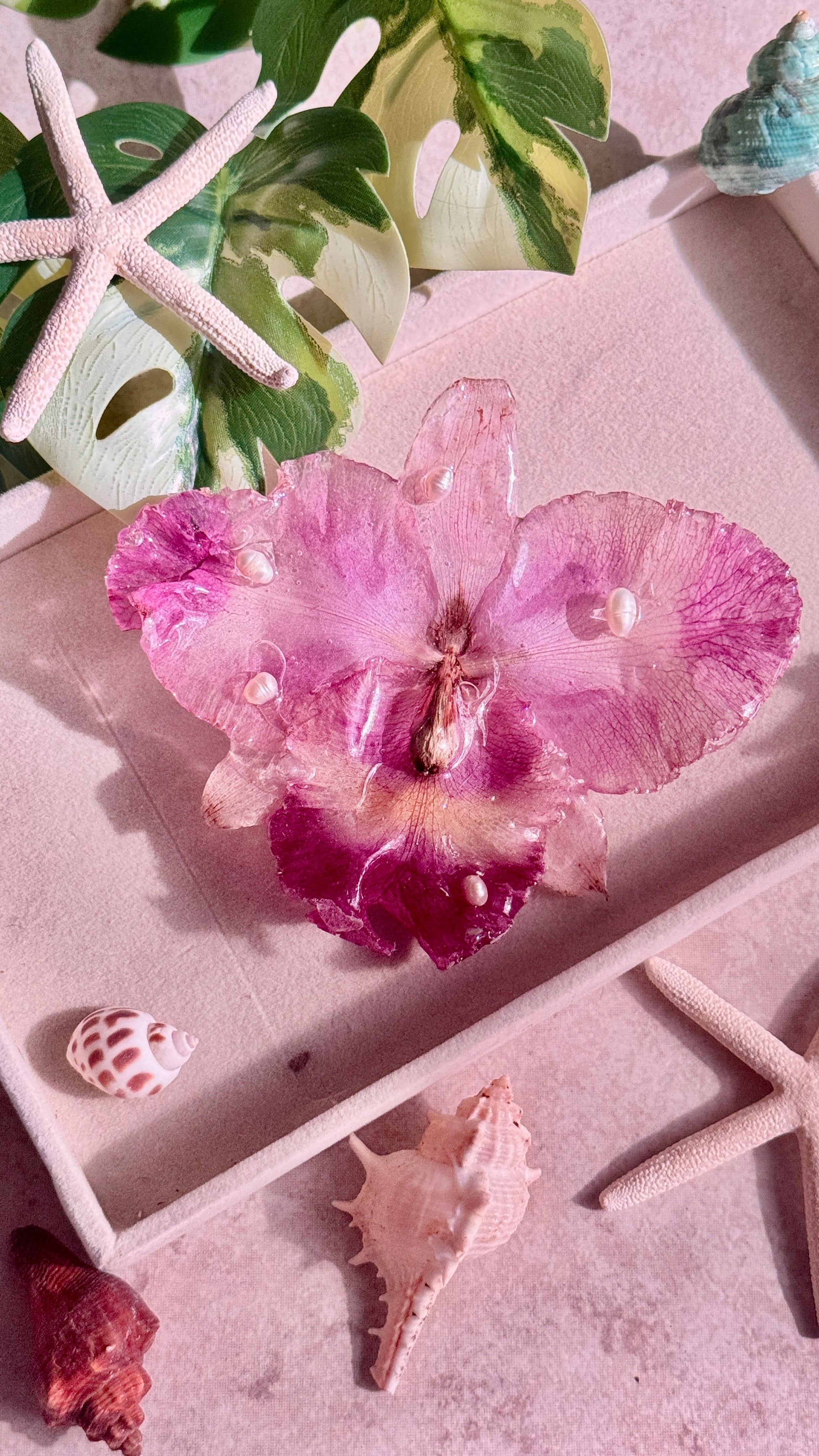 𝒮𝓅𝓇𝒾𝓃ℊ 𝒹𝒶𝓎 ☽