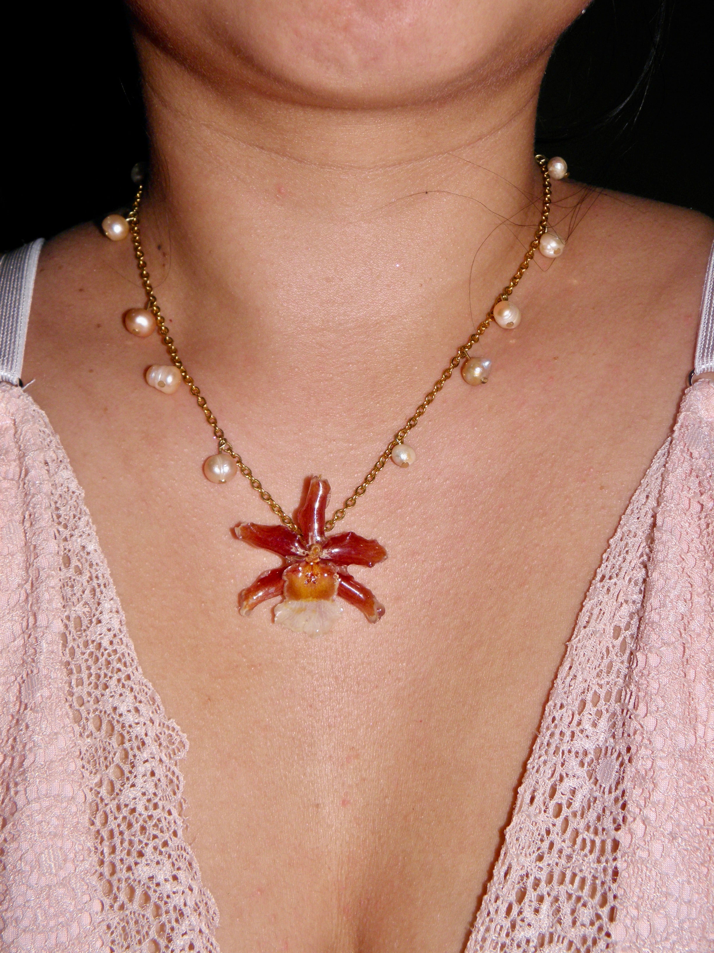 𝒫𝓊𝓂𝓅𝓀𝒾𝓃 ❀