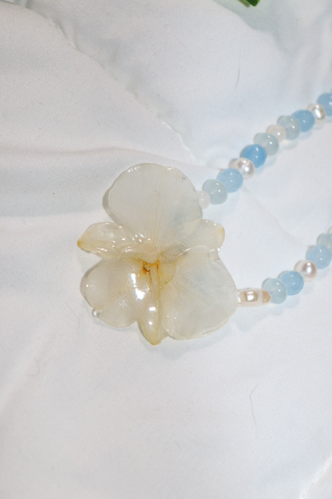 𝒪𝒸ℯ𝒶𝓃 ❀