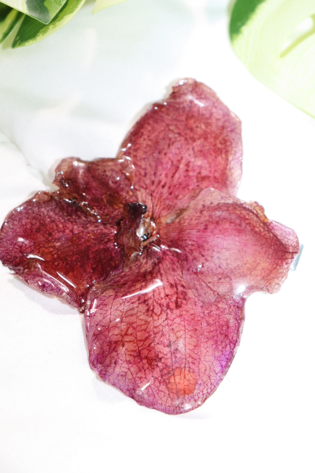 ℋ𝒶𝒾𝓇𝒸𝓁𝒾𝓅