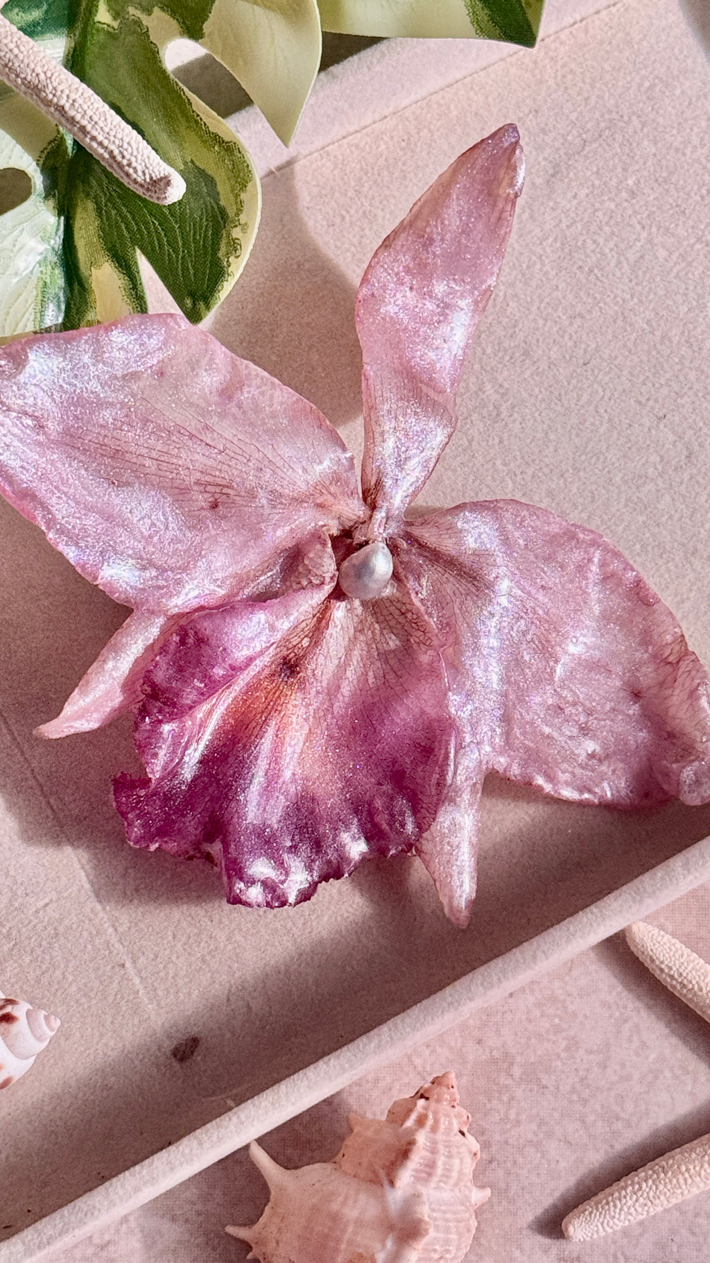 ℋ𝓌𝒶𝓈𝓈𝒶 ☽