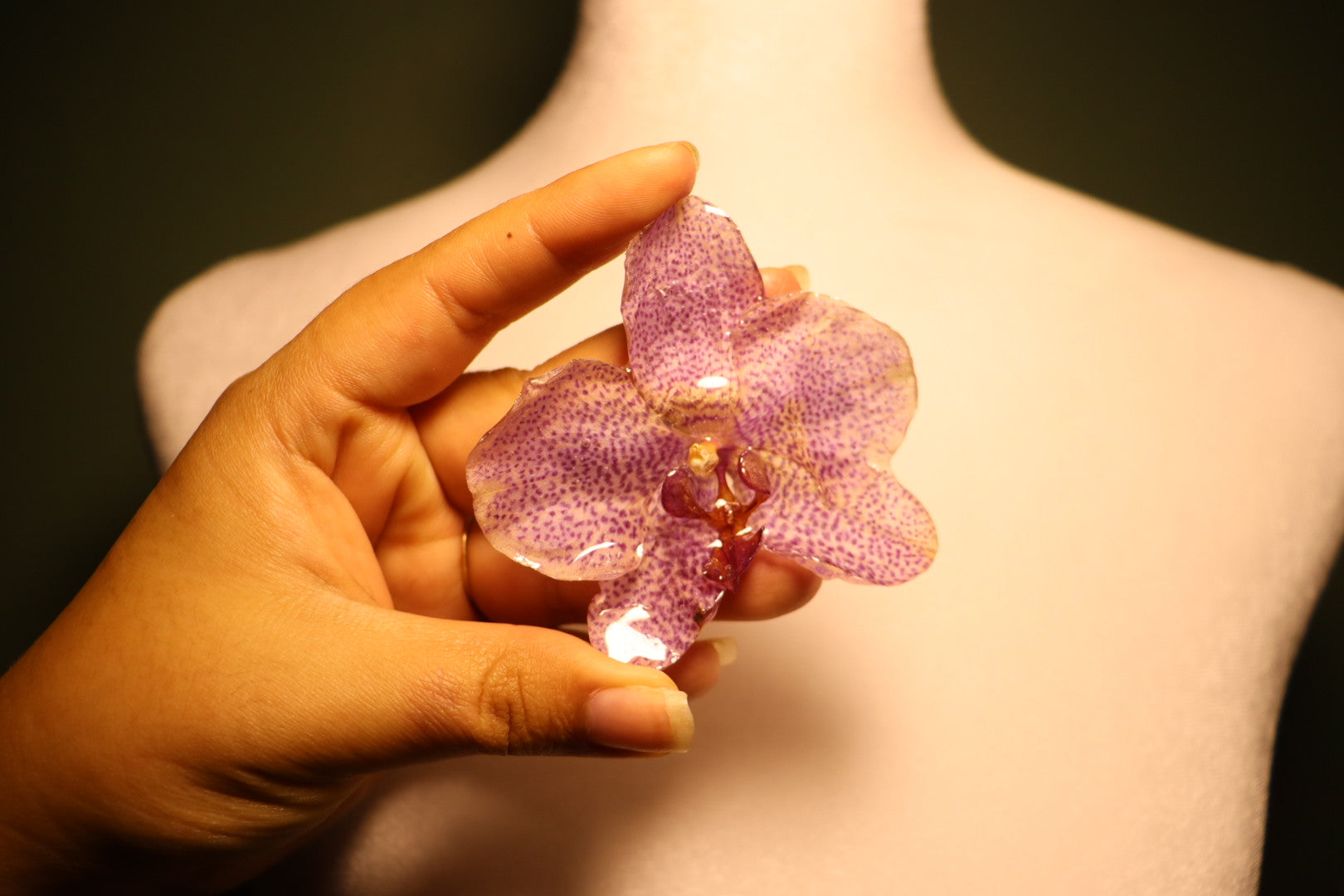 Hair clips (2 available)