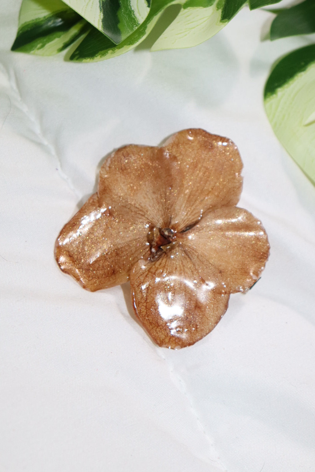 ℋ𝒶𝒾𝓇𝒸𝓁𝒾𝓅