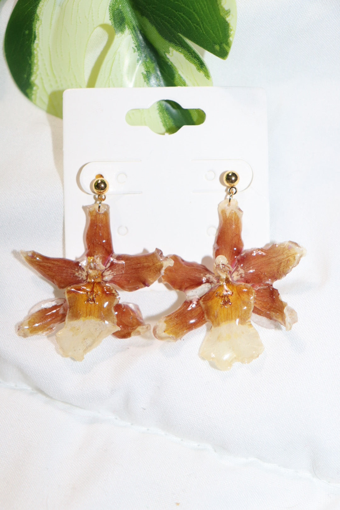 ℰ𝒶𝓇𝓇𝒾𝓃ℊ𝓈 𝒹ℴ𝓉𝒮