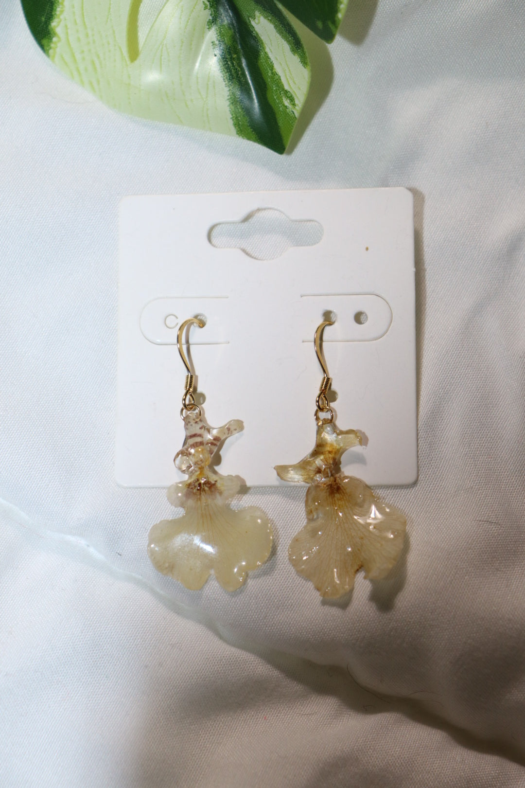 ℰ𝒶𝓇𝓇𝒾𝓃ℊ 𝒹ℴ𝓉