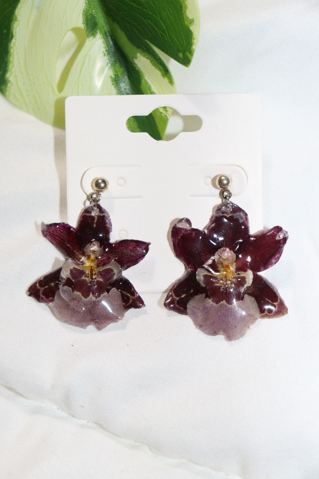 ℰ𝒶𝓇𝓇𝒾𝓃ℊ 𝒹ℴ𝓉