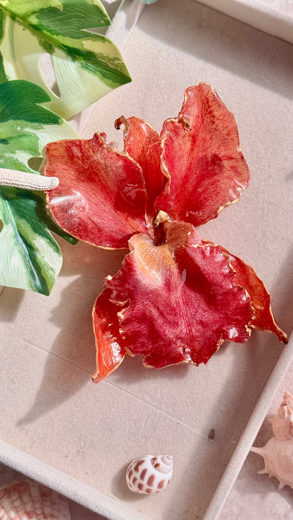 𝒞𝒽𝒾𝓁𝒾☽