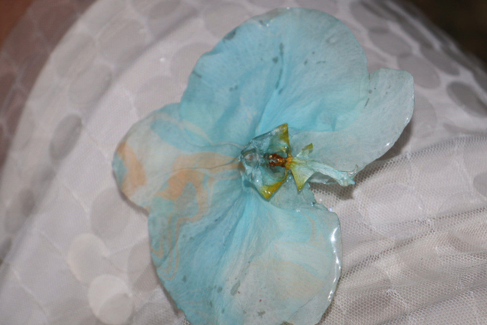 Had clip baby blue 🐬