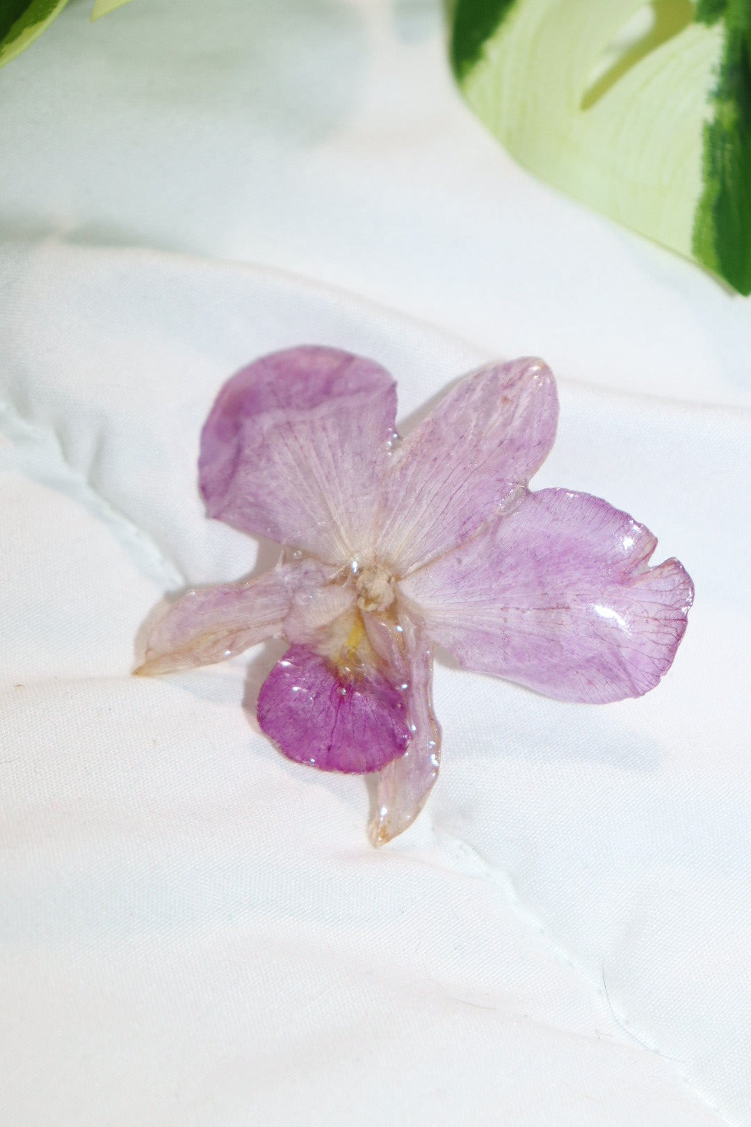 ℋ𝒶𝒾𝓇𝒸𝓁𝒾𝓅