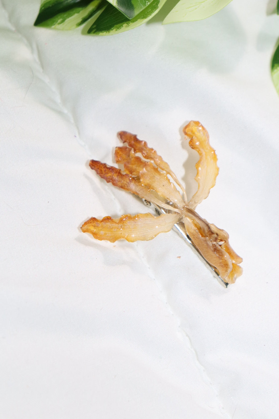 ℋ𝒶𝒾𝓇𝒸𝓁𝒾𝓅