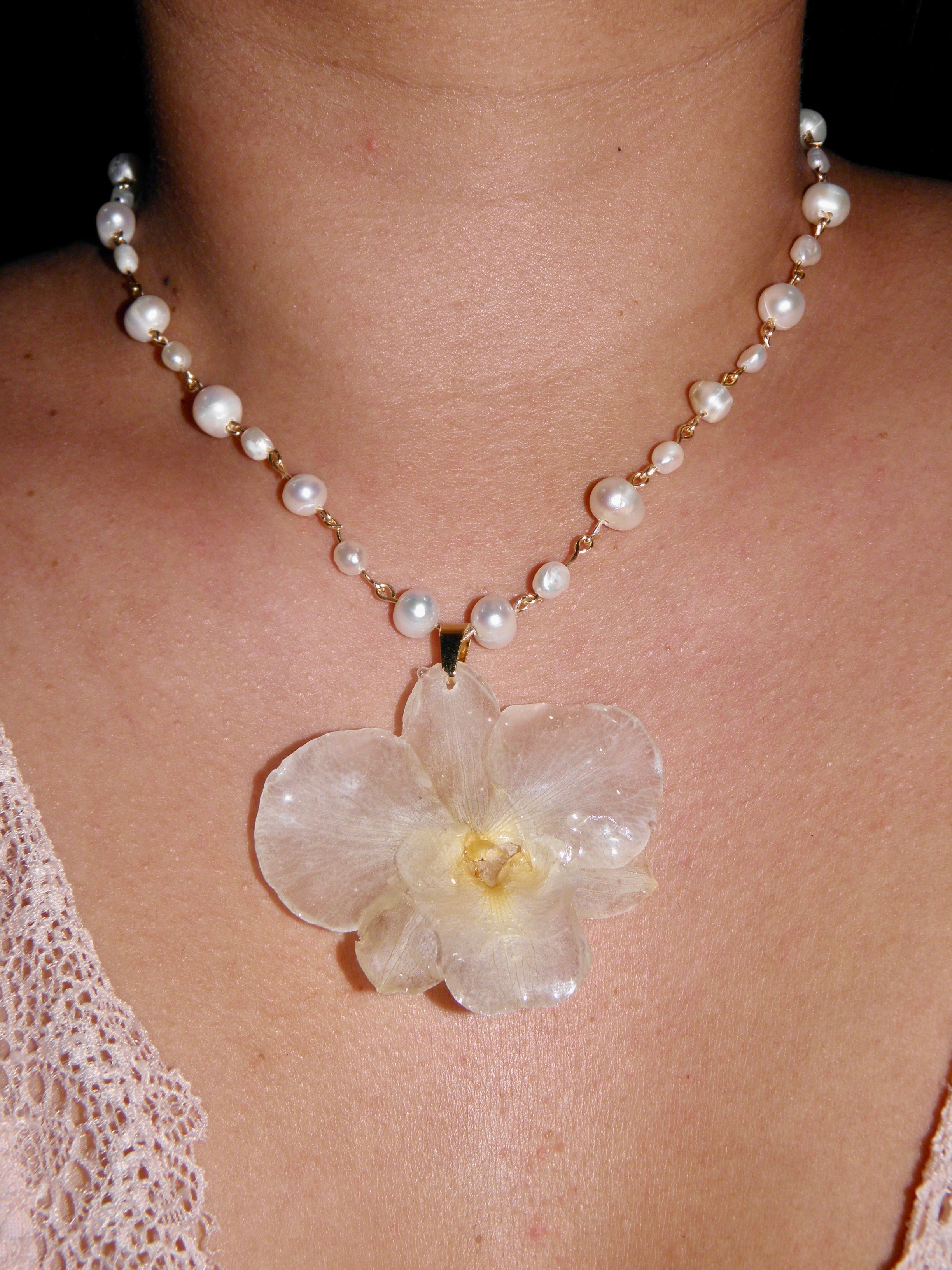 ℛℴ𝓈𝒶𝓇𝒾ℴ ❀