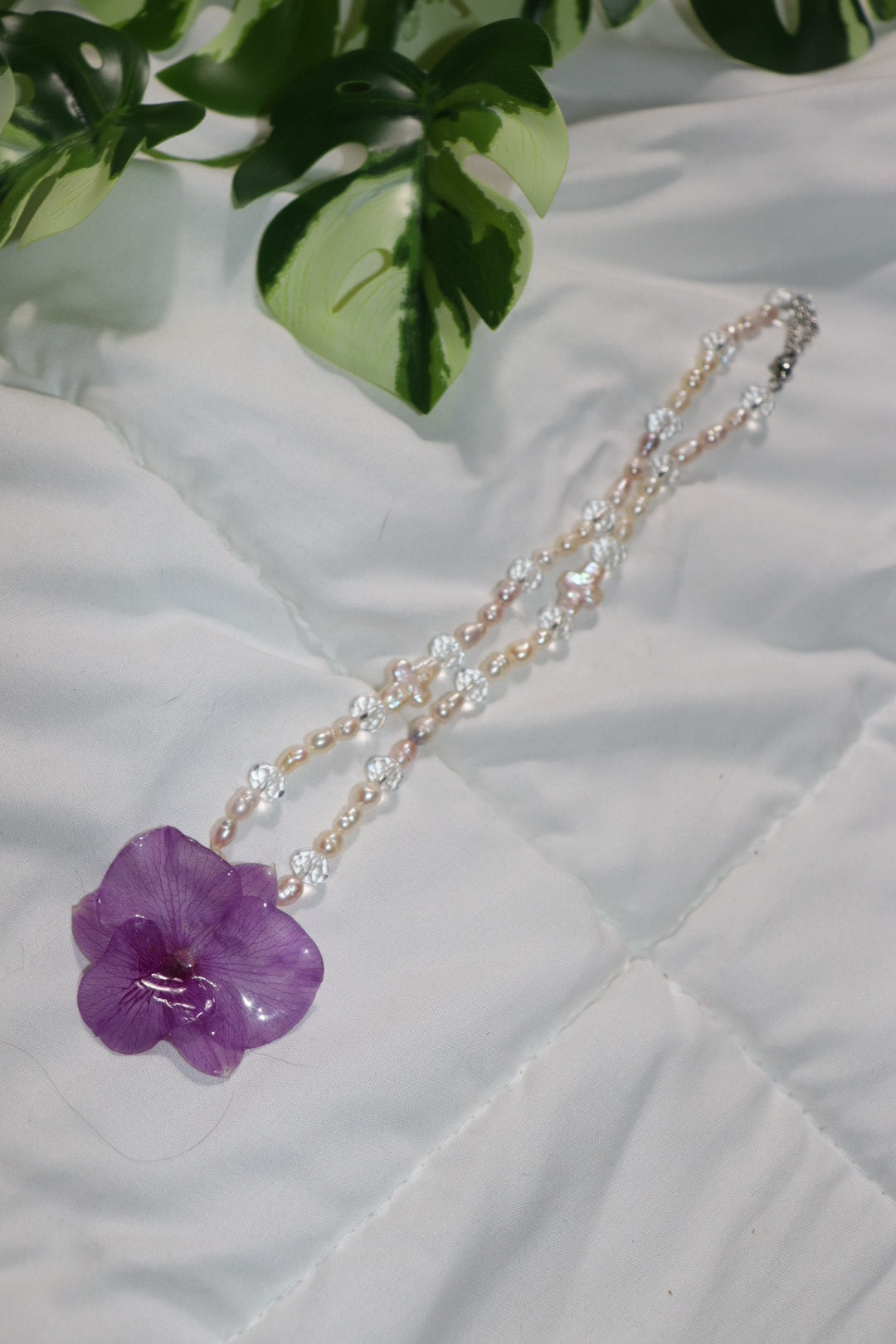 𝒫ℯ𝒶𝓇𝓁𝓈❀