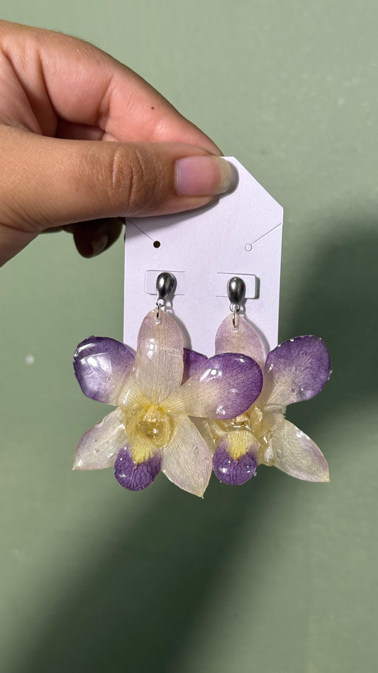 Earrings purple