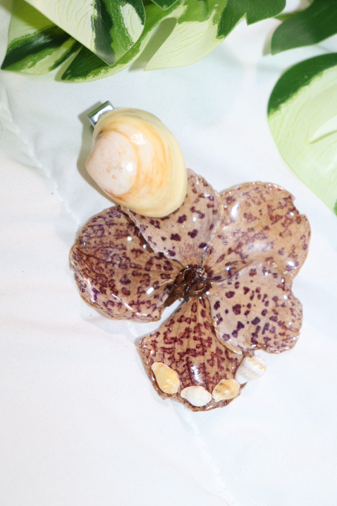 ℋ𝒶𝒾𝓇𝒸𝓁𝒾𝓅