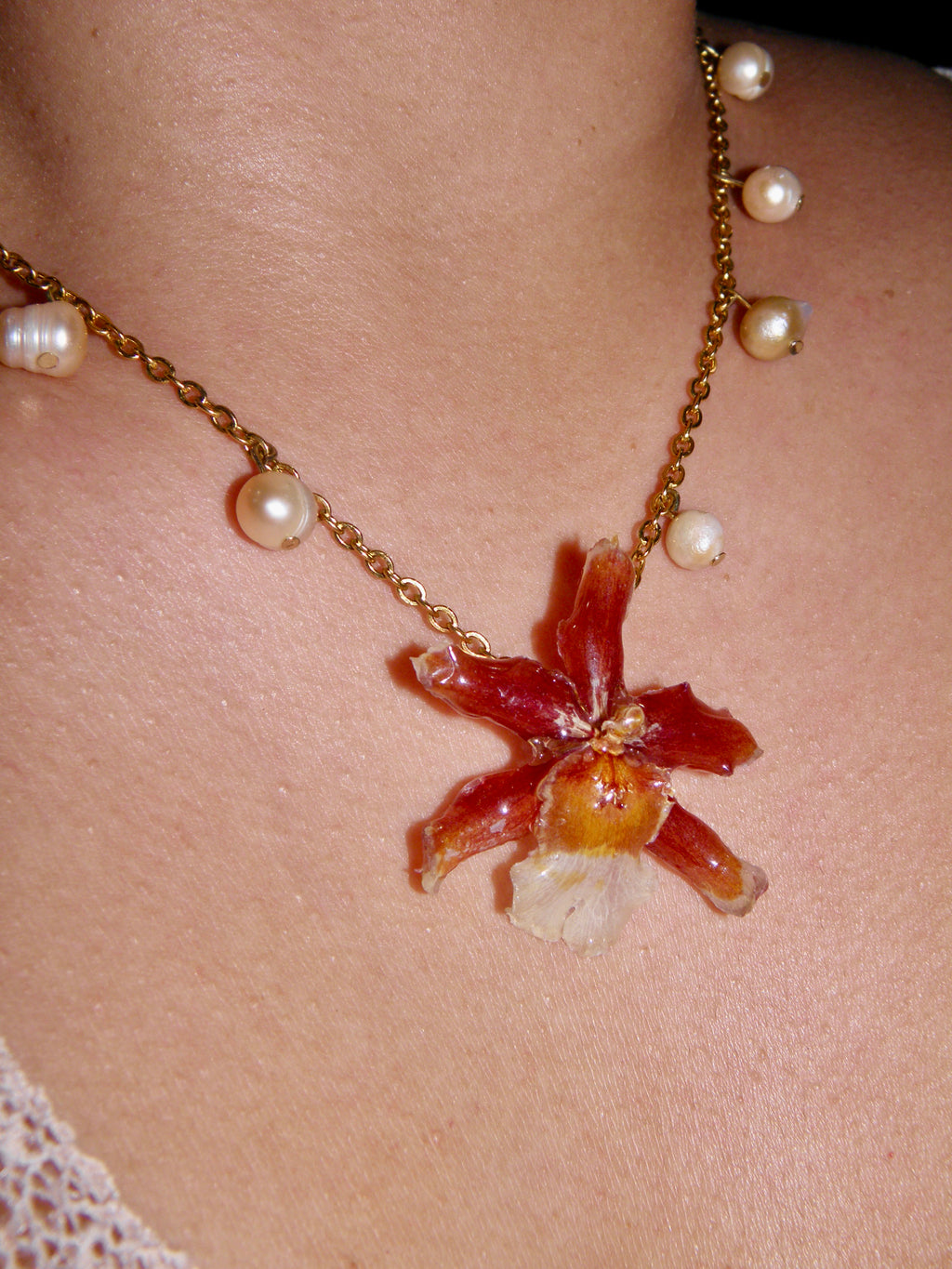 𝒫𝓊𝓂𝓅𝓀𝒾𝓃 ❀