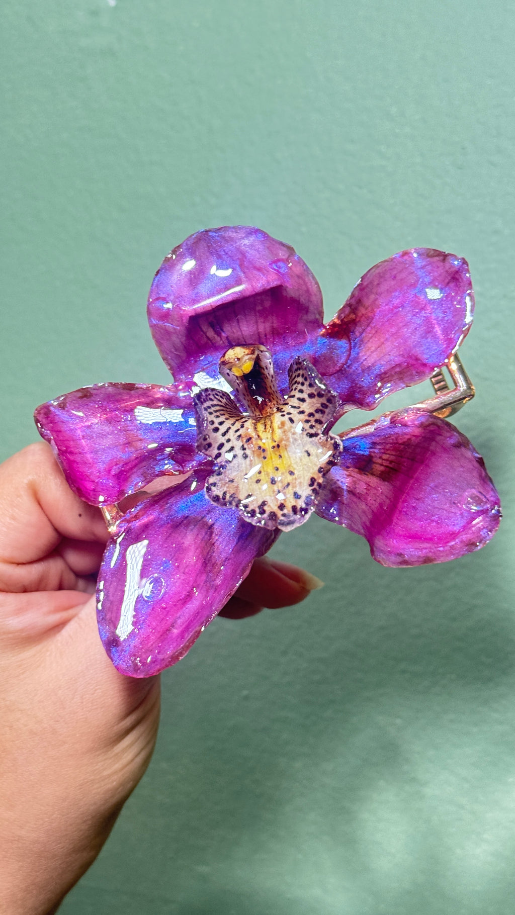 Pink cymbidium hair claw