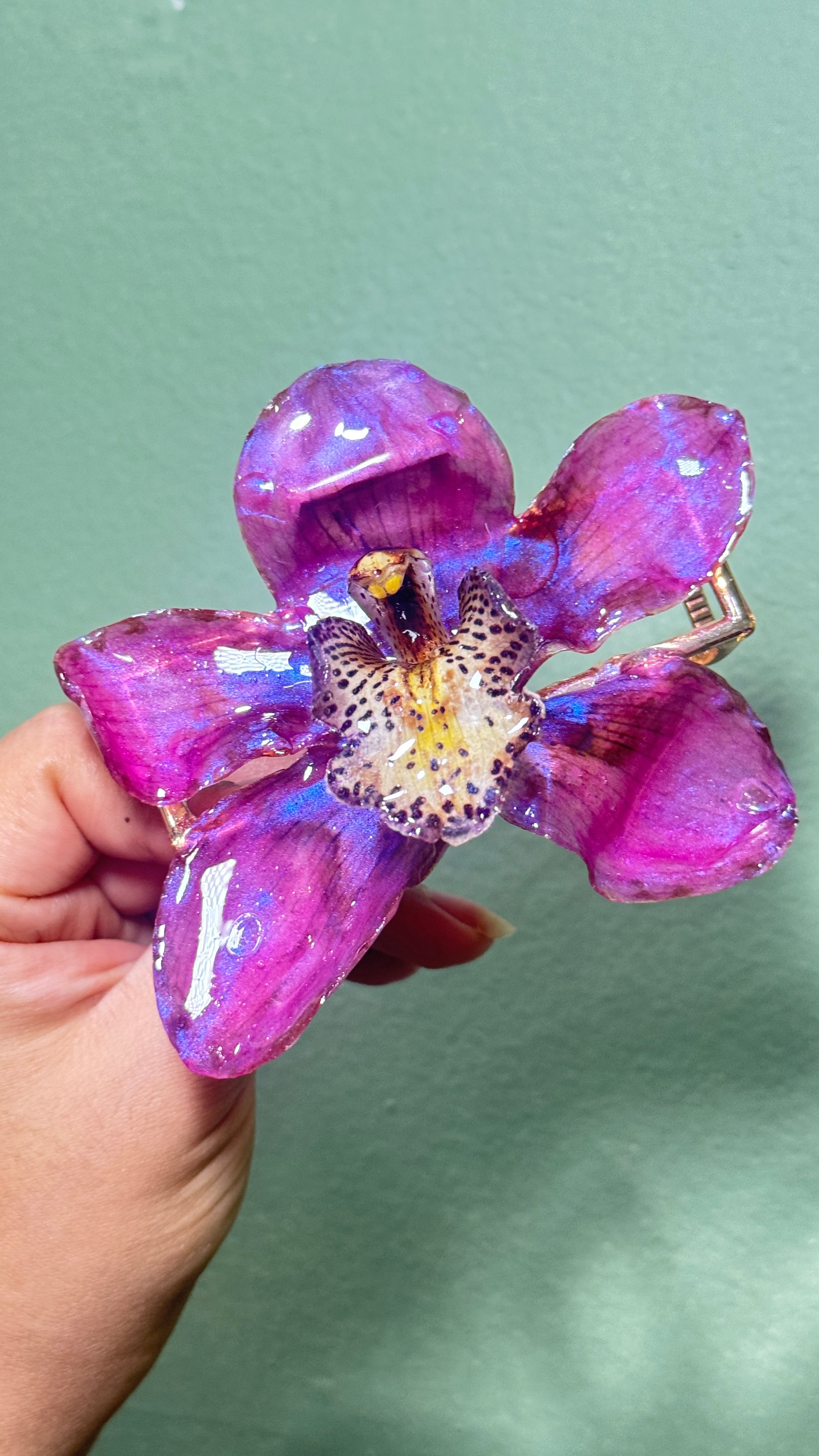 Pink cymbidium hair claw