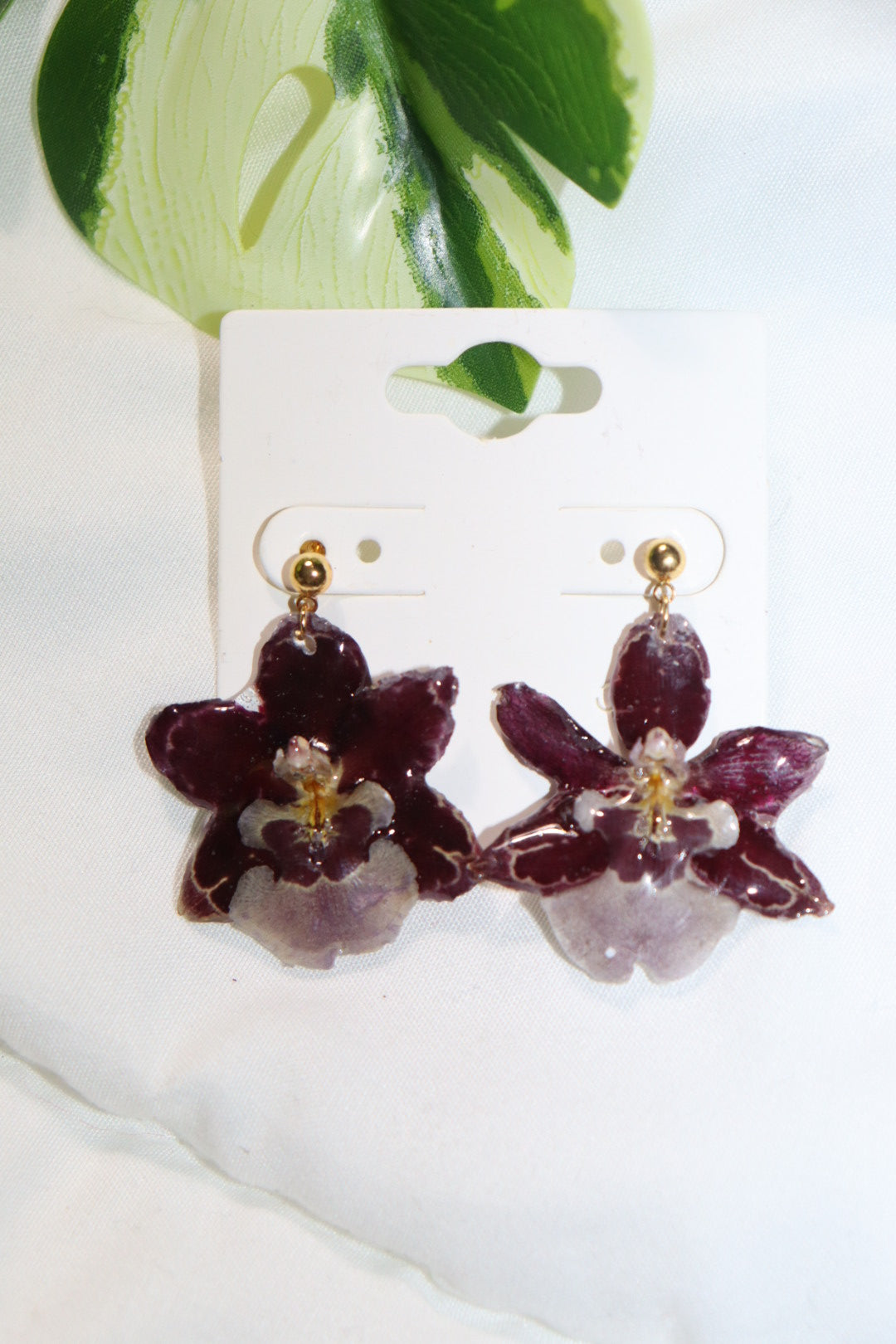 ℰ𝒶𝓇𝓇𝒾𝓃𝒻 𝒹ℴ𝓉