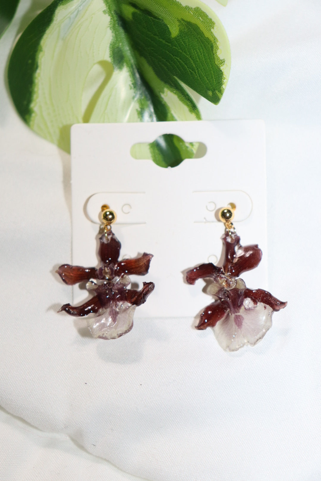 ℰ𝒶𝓇𝓇𝒾𝓃ℊ 𝒹ℴ𝓉