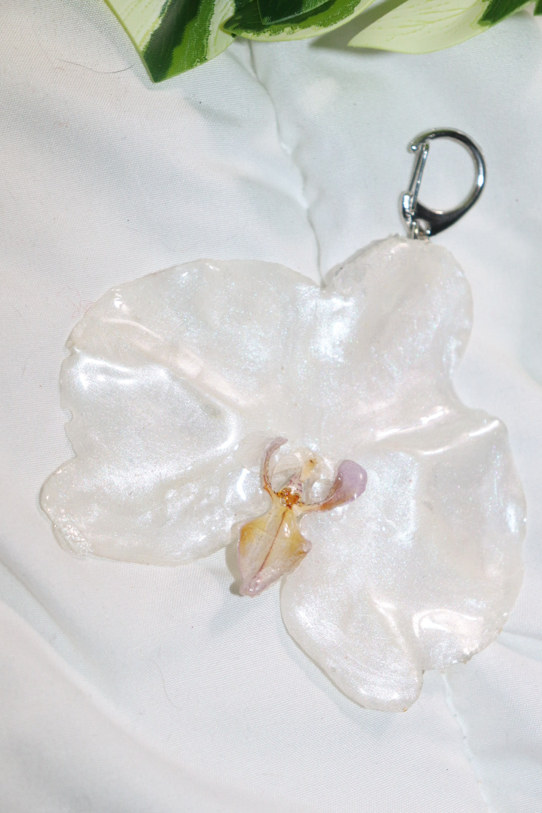 𝒦ℯ𝓎𝒸𝒽𝒶𝒾𝓃